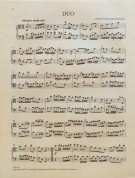 Notenbeispiel / Score example